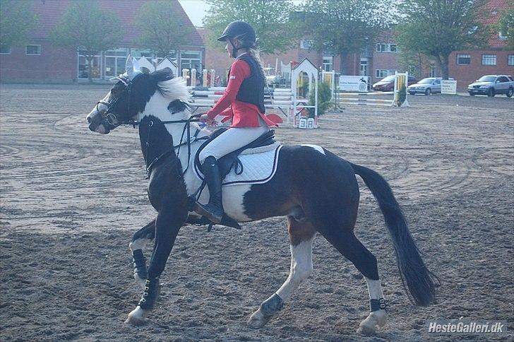 Anden særlig race Tatoo - Æresrunde  (:     wuhuu! ;-D billede 6