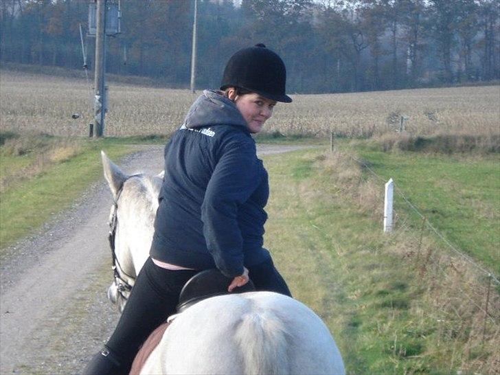 Dansk Varmblod Cita billede 2