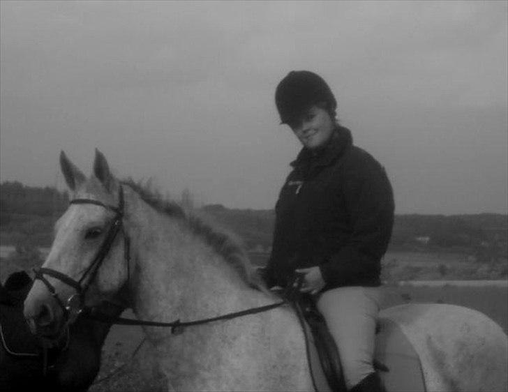 Dansk Varmblod Cita billede 18