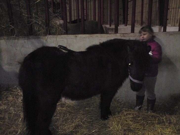 Anden særlig race lady billede 5