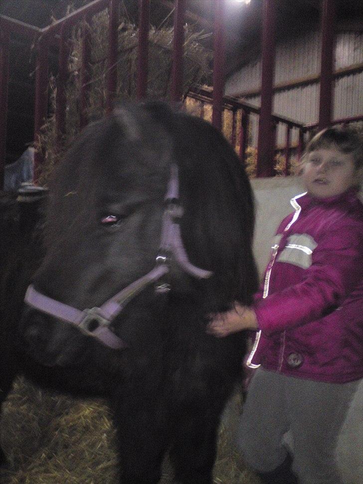 Anden særlig race lady billede 6