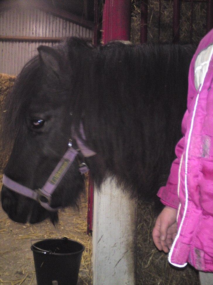 Anden særlig race lady billede 11