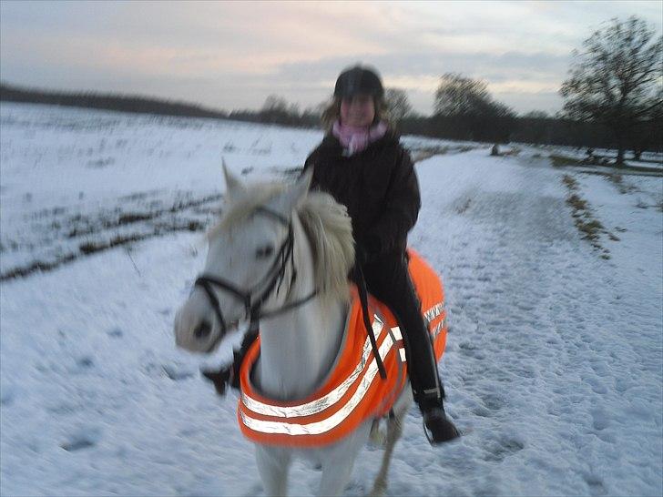 Connemara figo billede 12