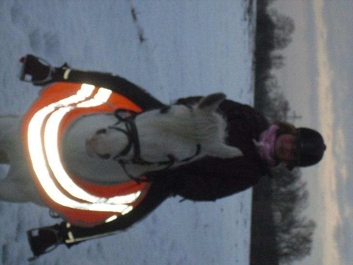 Connemara figo billede 13