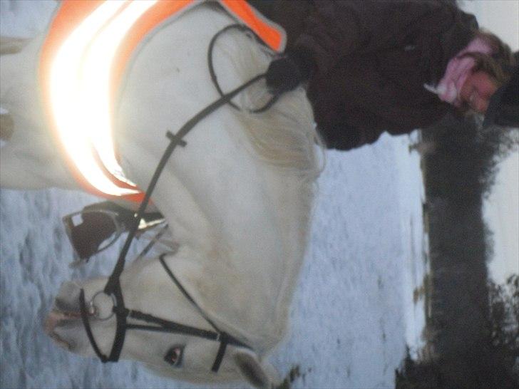 Connemara figo billede 14