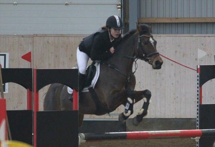 Anden særlig race Kehops De Nonville - Mb Herning c-stævne billede 9