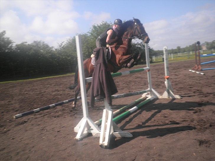 Anden særlig race Kehops De Nonville - gymnastikspring (: billede 10