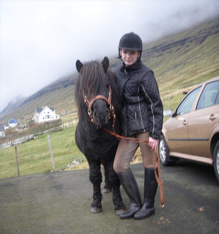 Færøsk hest Tóki [Haft i pleje] - Tóki og min søster Rebekka .. lige inden ridetur :) | 09-10-2010 billede 20