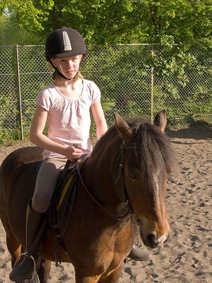 Anden særlig race Raptus*Passer* - 15) Og så står man da vidst lidt fint var Raptus?<3 billede 15