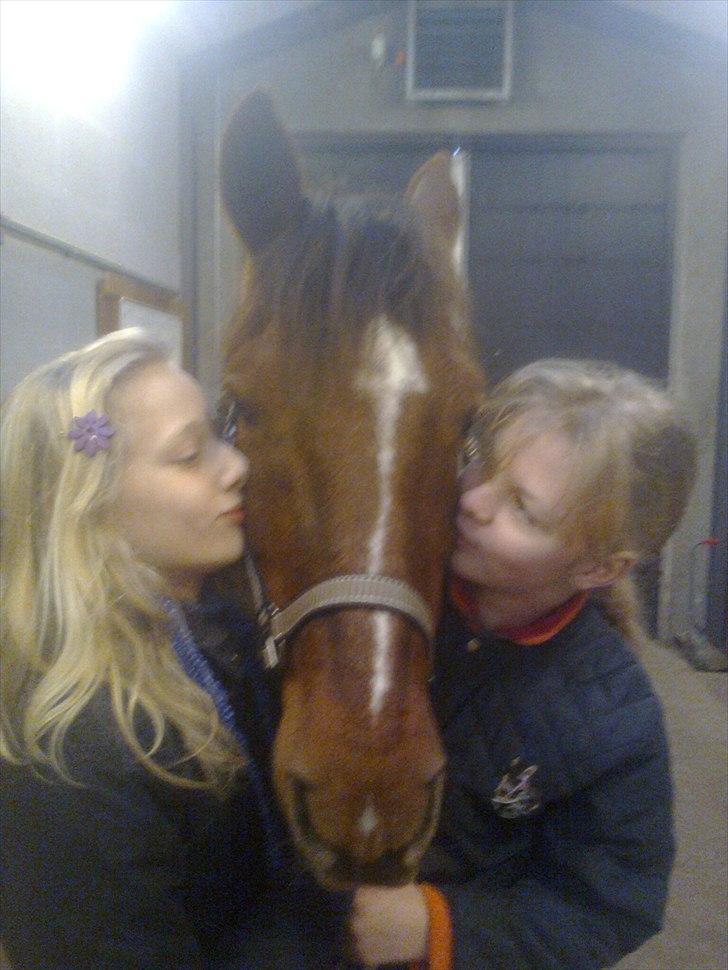 Anden særlig race                 Candy   HVR [Tidl. passer] billede 20