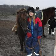 Anden særlig race Mongo