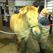 Anden særlig race bandit