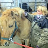 Anden særlig race bandit