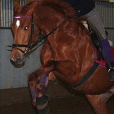 Holstener baronessen