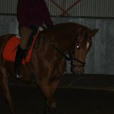 Holstener baronessen