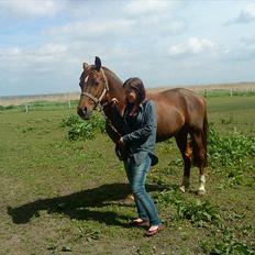 Anden særlig race bounty