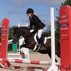 DSP Lisse <3 