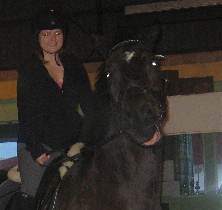 Anden særlig race Lucy rideskole(aflivet) billede 14