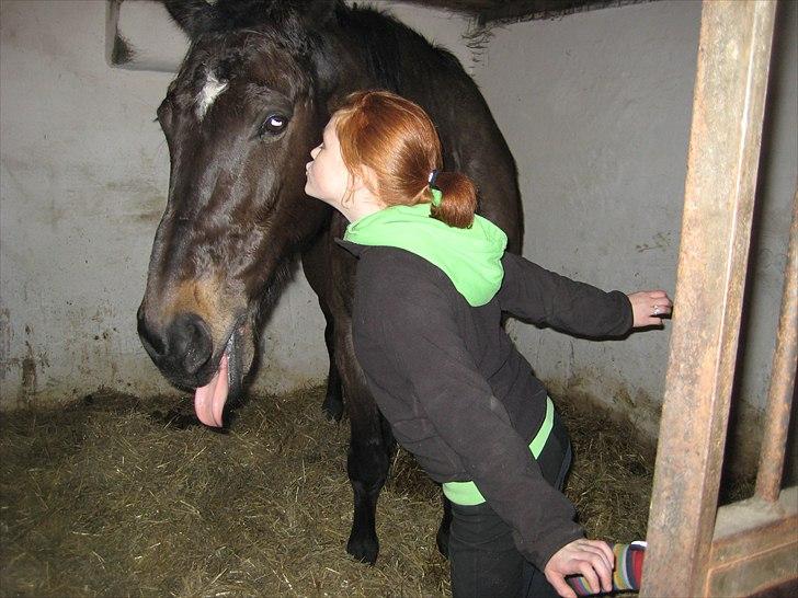 Anden særlig race Lucy rideskole(aflivet) - Signe og Lucy<3  billede 15