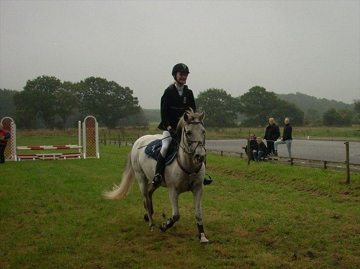 Anden særlig race Viggo - jaa! ;b fejlfri rundte!  fik en 2. plads i den klasse! ;) billede 16