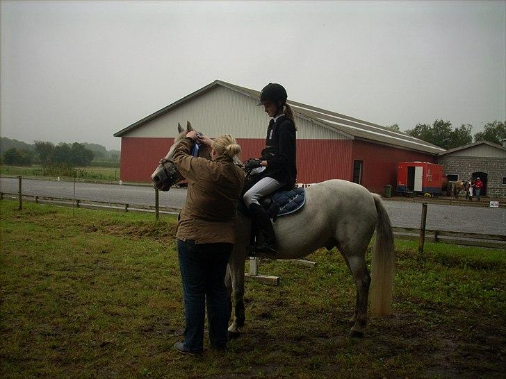 Anden særlig race Viggo - præmie overrækkelse! :) 2.plads! :* du så dygtig pony´miin ;i billede 17