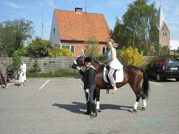 Traver label    R.I.P billede 20