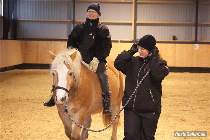 Haflinger MayBee + RIP + - Maybee, Tina og Esben... billede 15