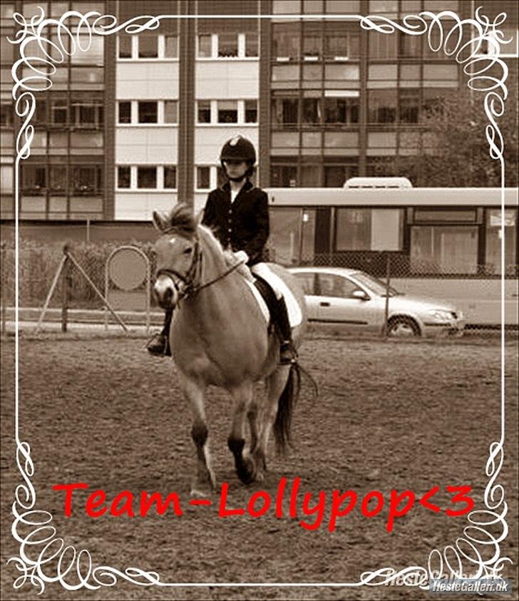 Anden særlig race bispevangens tyson billede 10