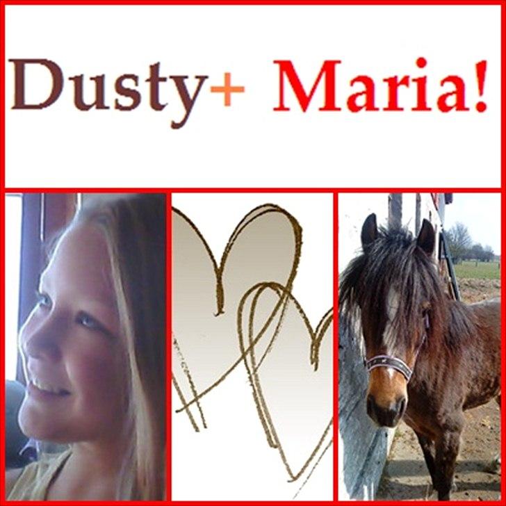 Welsh Pony (sec B) Dusty! Mit eventyr!<3 - Et billede jeg har lavet! <3 billede 6