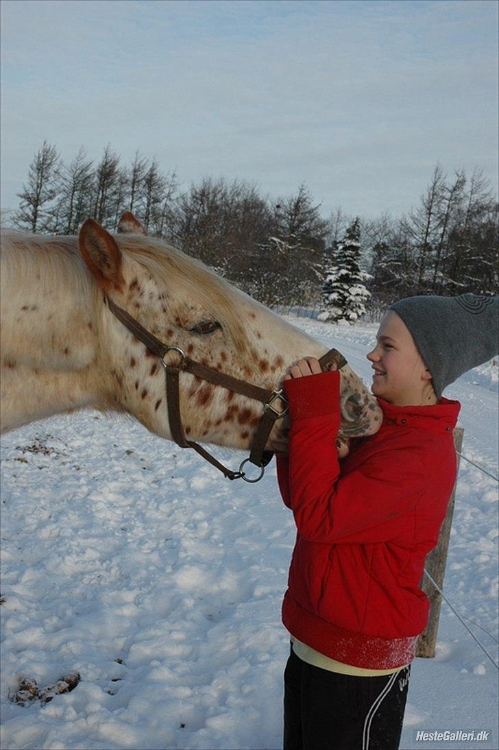 Anden særlig race julius <3 billede 8