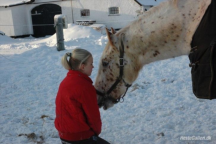 Anden særlig race julius <3 billede 10