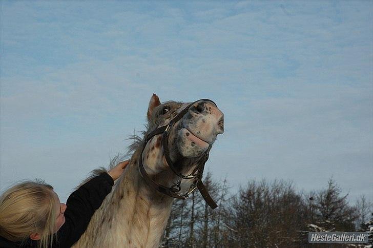 Anden særlig race julius <3 billede 11