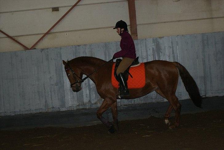 Holstener baronessen billede 2