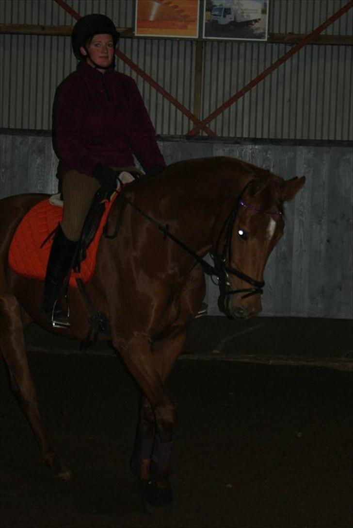 Holstener baronessen billede 3