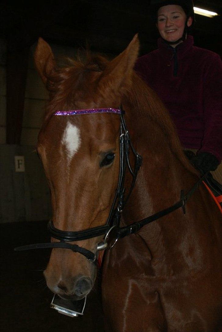 Holstener baronessen billede 4