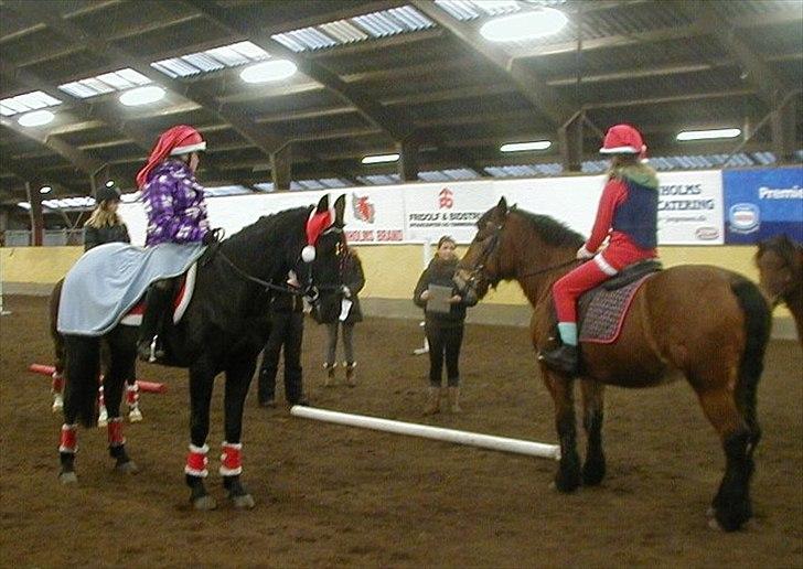 Traver BG Hannah (Tidl. part) - julestævne i stalden/hallen billede 4