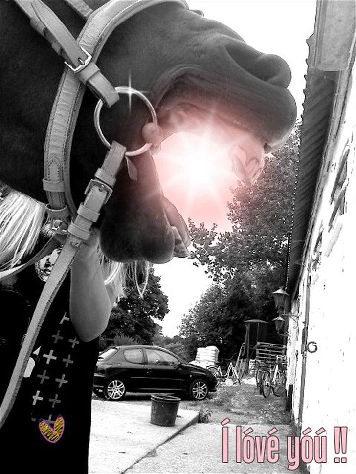 Anden særlig race Misse *PART* billede 5