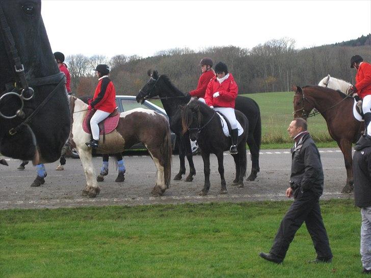 Traver BG Hannah (Tidl. part) - Elsker virkelig hendes pandelok der!!<3 :D  hubertus 2010 billede 8