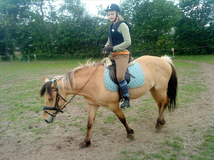 Anden særlig race Dixie (rider) - vi skridter lige af :) billede 18