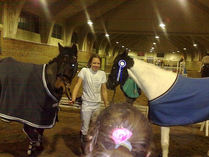 Hollandsk Sportspony Winnetou(SOLGT :D) - Winnetou fik en flot 2.plads til klubmesterskabet i Næstved. billede 20