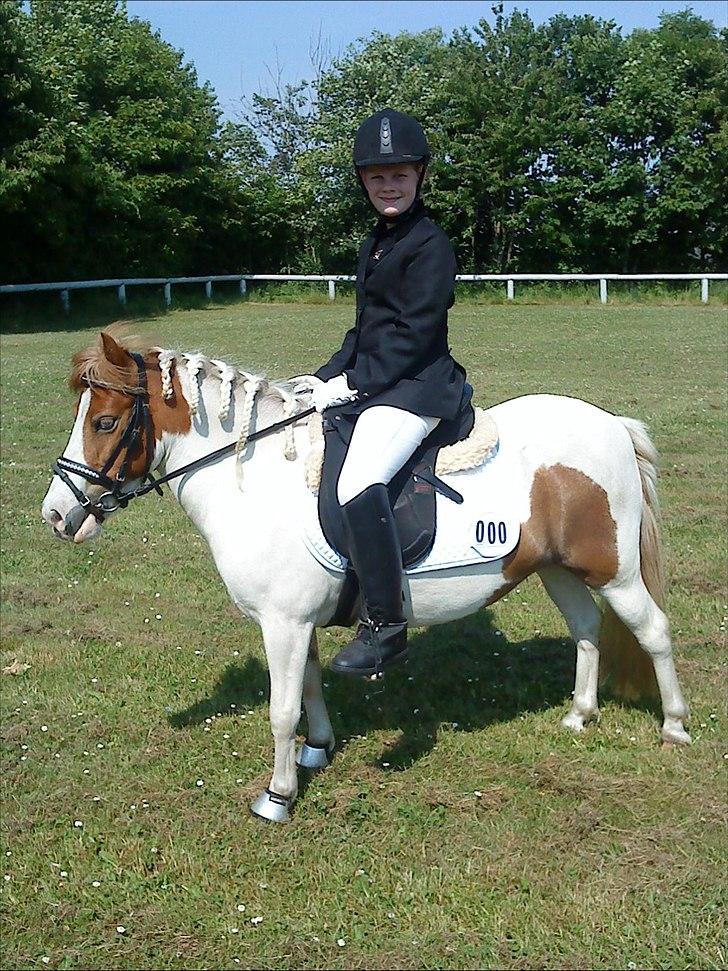 Anden særlig race Lille My *solgt* - Emma og My´s første stævne.  billede 11