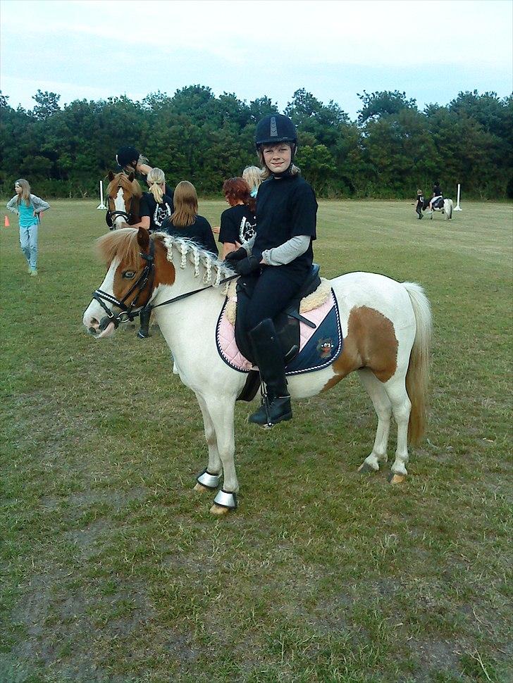 Anden særlig race Lille My *solgt* - Opvisning til sportsugen i Nordenskov. billede 14