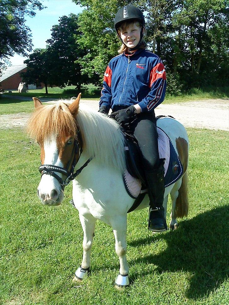 Anden særlig race Lille My *solgt* billede 15