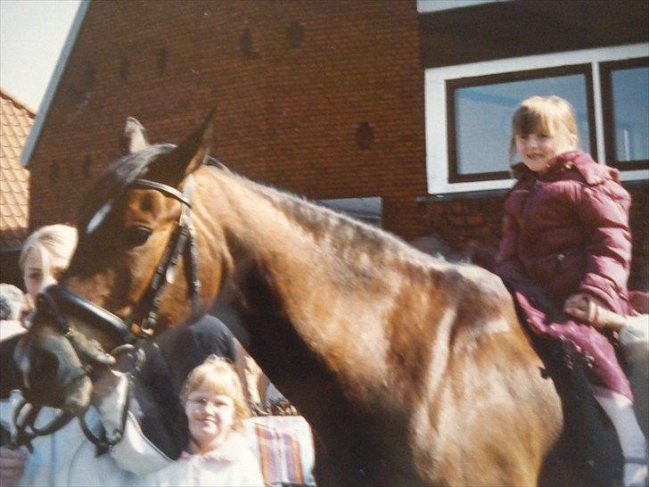 Trakehner Topper - [ Tante's ] - lille-bitte mig ;)!! billede 9