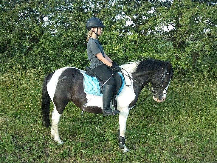 Anden særlig race Musse<33 solgt:'( *du vil altid være i mit hjerte* - Hun er bare dejlig<3 billede 5