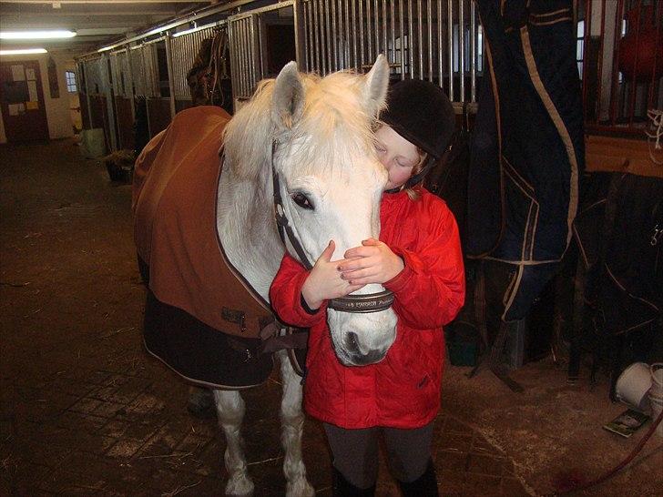 Connemara Perle :) - Feb 2011 jeg elsker min nye pony billede 18