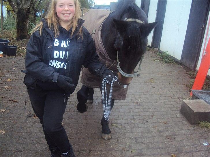 Anden særlig race Spotlight R.I.P. <3 - kunstner:D billede 4