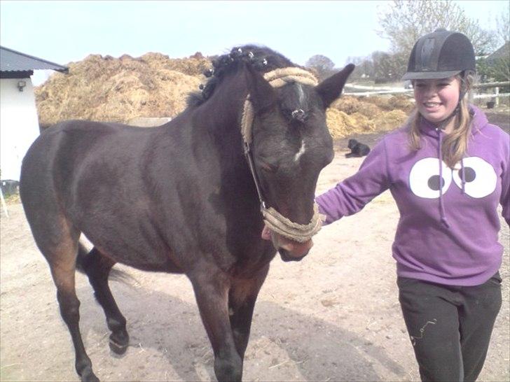 Anden særlig race Spotlight R.I.P. <3 - han syndes min hånd dufter godt ;) billede 8