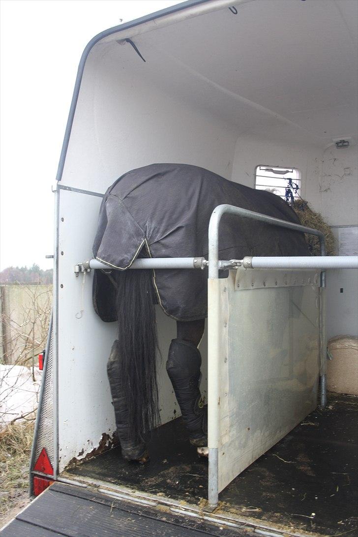 Pinto Mary Lou   - Når enden er god er alting godt - så ved det går godt for dig, også uden mig .. For din ende er god :i <3  billede 19