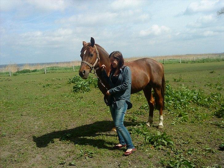 Anden særlig race bounty billede 3